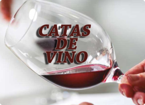 Cata-de-Vino